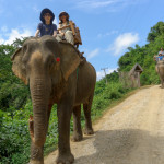 Riding Elephants in Laos.